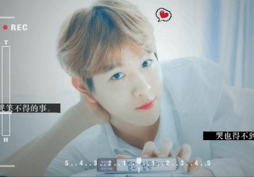 娱乐是个圈完结版