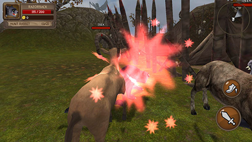 1716000586635442.jpg 1716000586635442.jpg