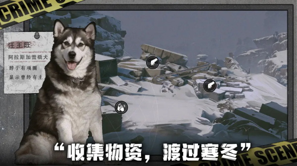 1718956184735534.jpg 1718956184735534.jpg