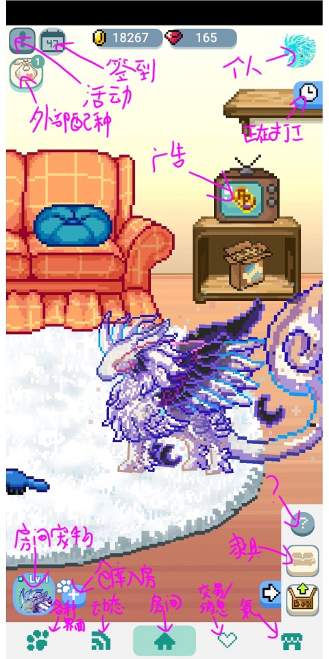 1719479025393137.jpg 1719479025393137.jpg